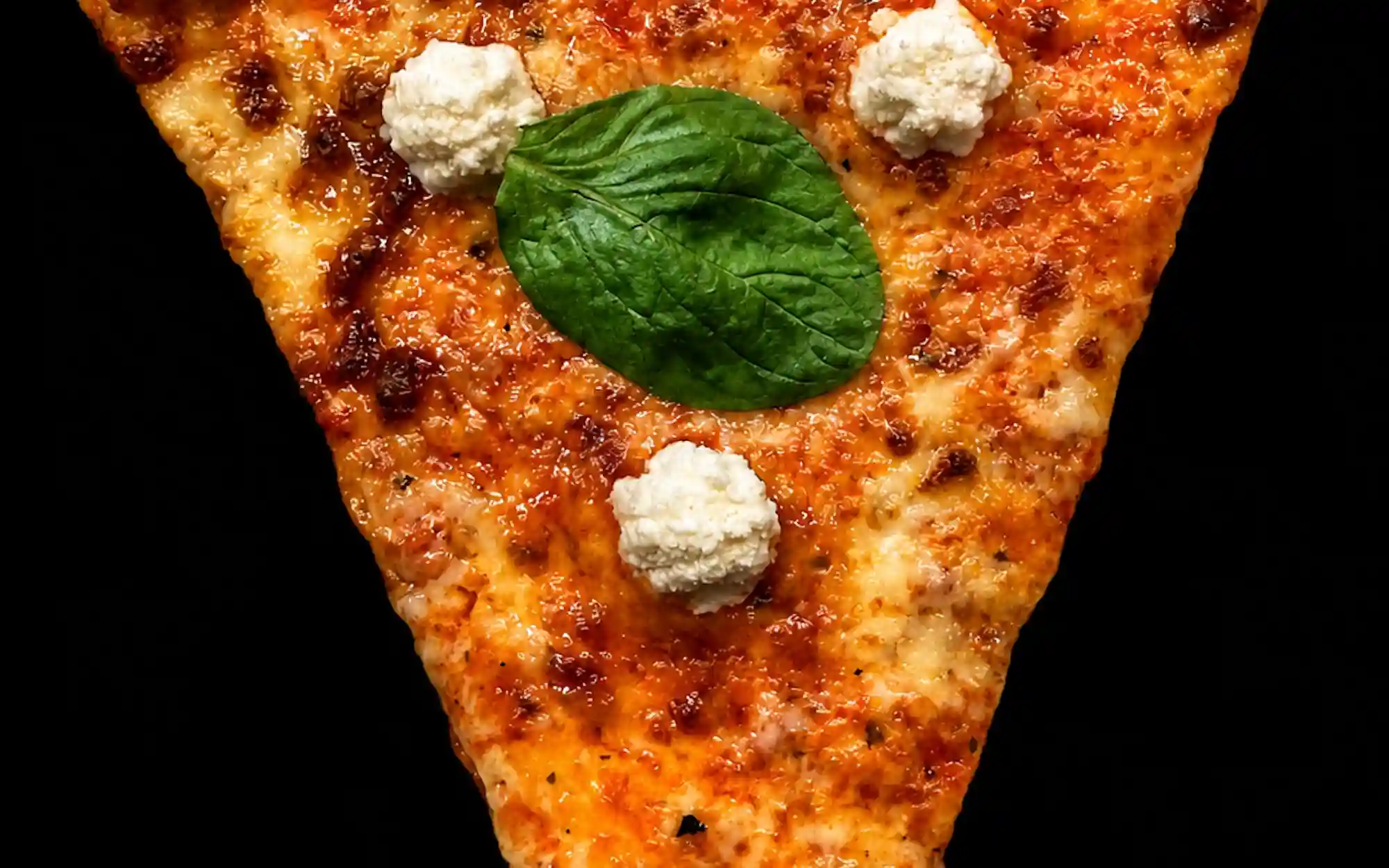 Regular Slice slice